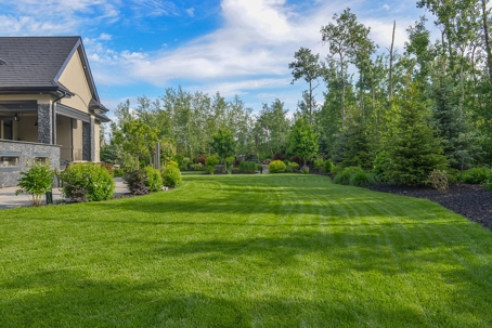 huge residential lawn