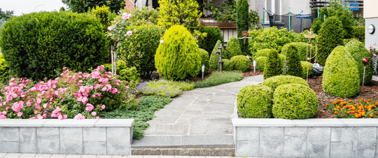 Front Yard Landscaping