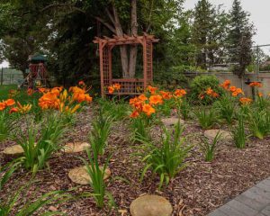 Low Maintenance Landscaping Edmonton