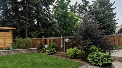 A backyard with a wooden fence, green grass, bushes, and decorative plants. Photo