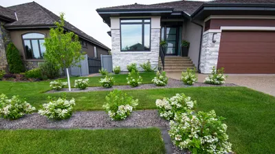 Front Yard Landscaping Photo