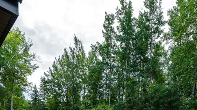 Pigeon Lake Landscaping Photo