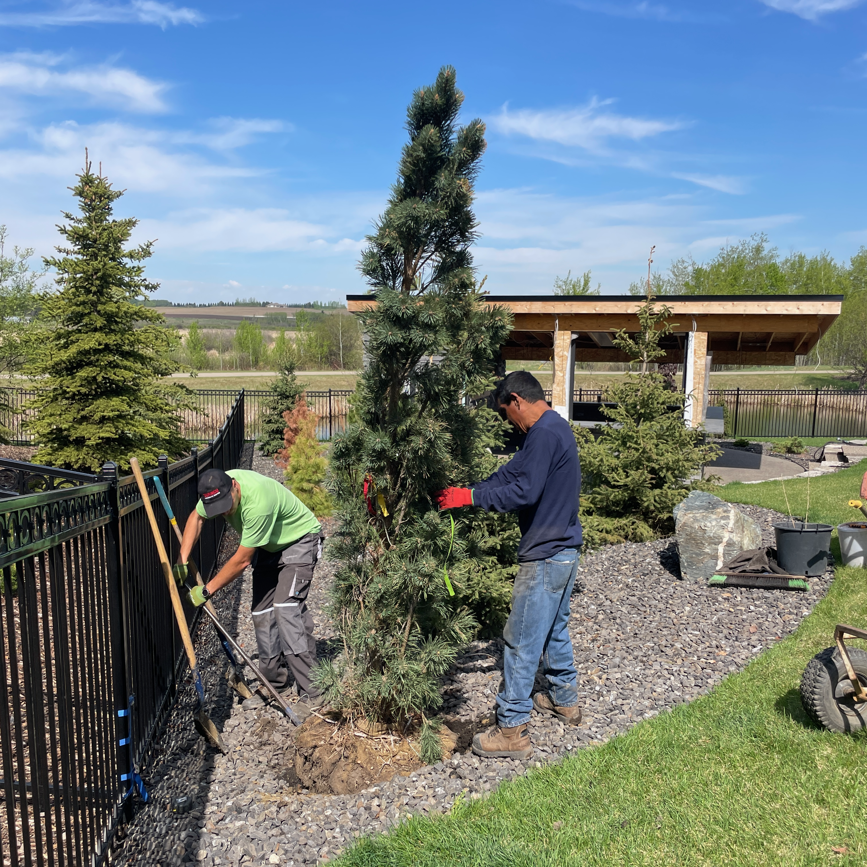 Enhancements + Planting